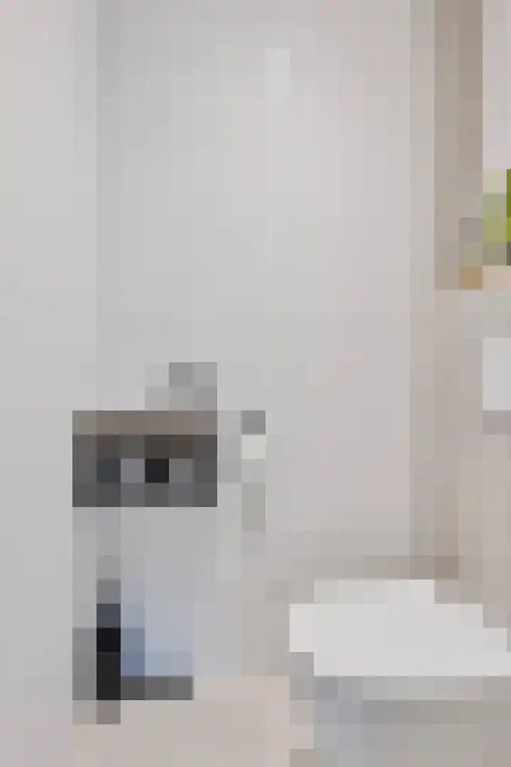 Melis Stokezijde 125 Den Haag thumbnail 18
