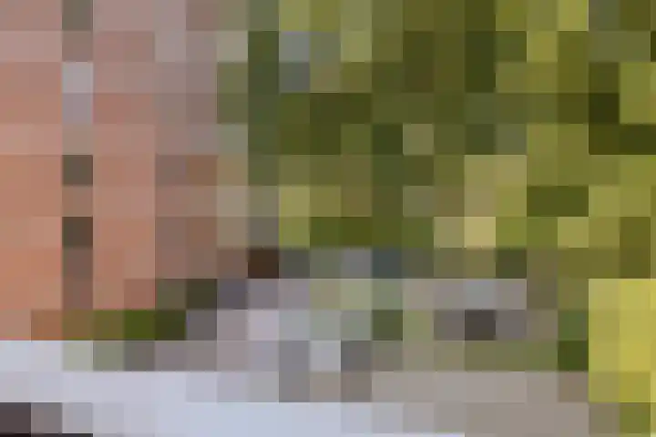 Melis Stokezijde 125 Den Haag thumbnail 21