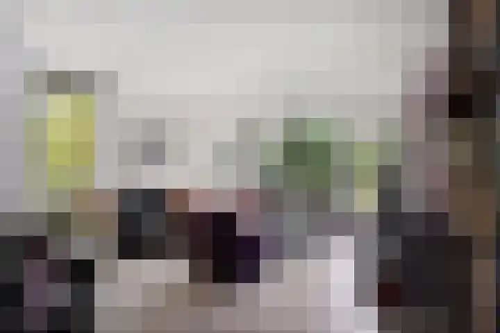 Melis Stokezijde 125 Den Haag thumbnail 7