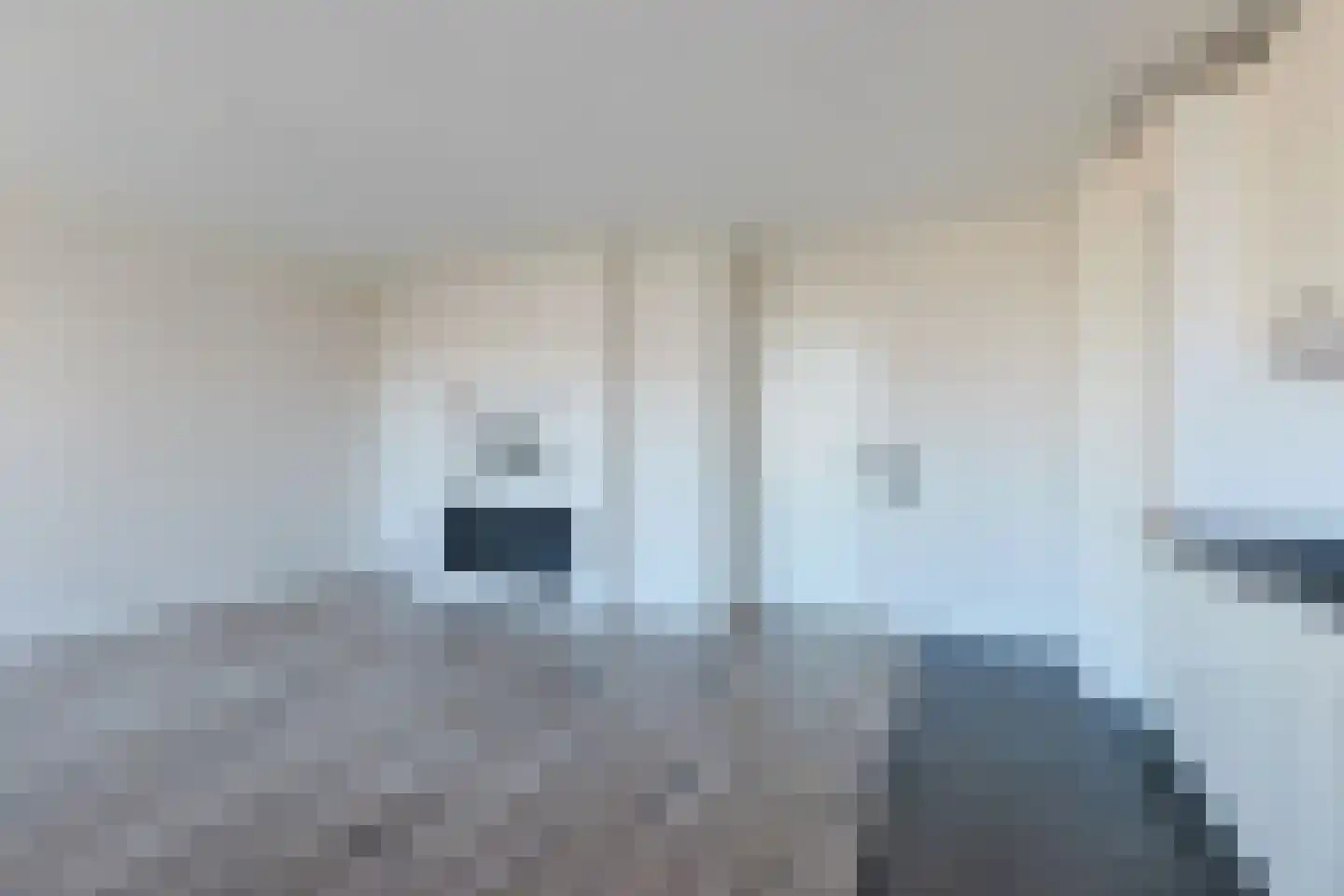 Melis Stokezijde 15 Den Haag thumbnail 18