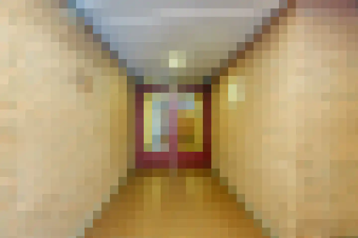 Melis Stokezijde 15 Den Haag thumbnail 6
