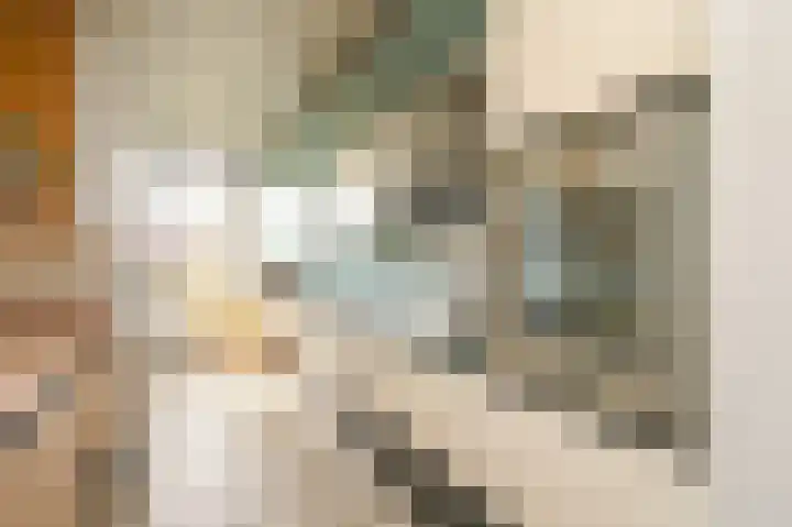 Melis Stokezijde 157 Den Haag thumbnail 13