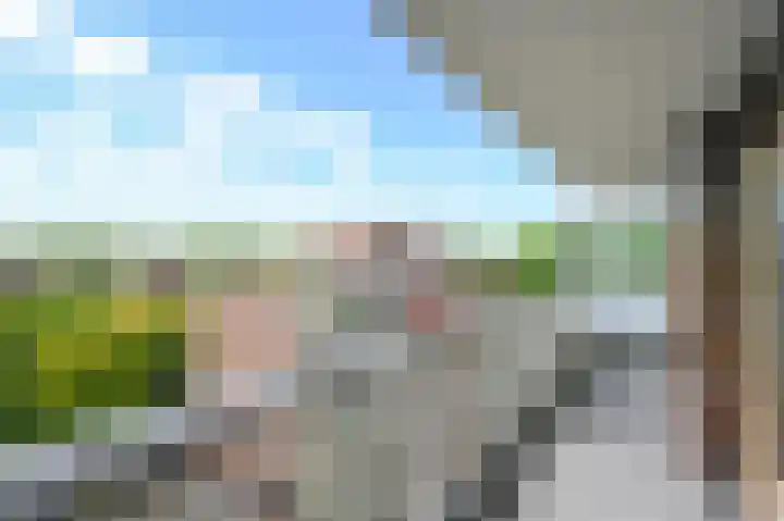 Melis Stokezijde 157 Den Haag thumbnail 15