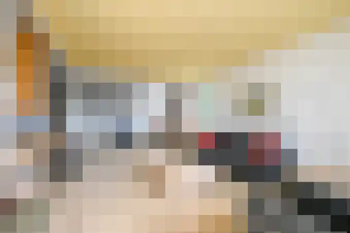Melis Stokezijde 157 Den Haag thumbnail 17