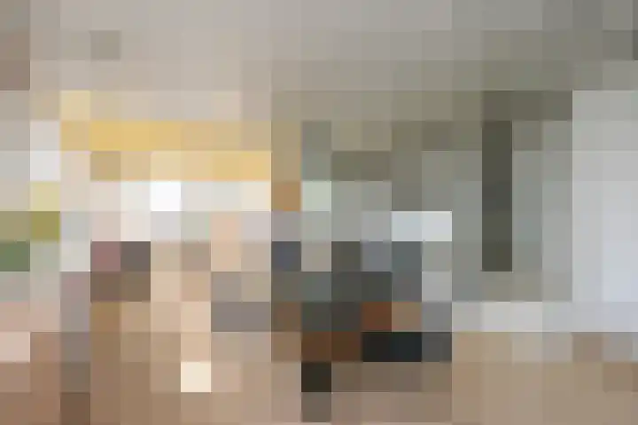 Melis Stokezijde 157 Den Haag thumbnail 19