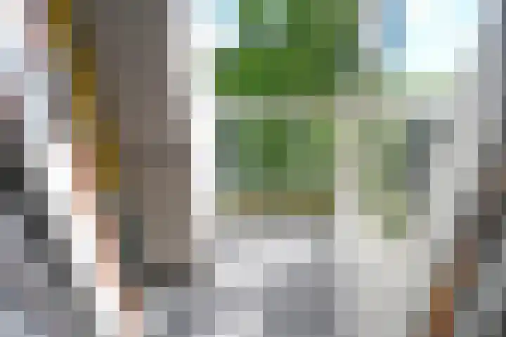 Melis Stokezijde 157 Den Haag thumbnail 21
