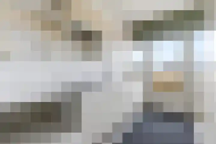 Melis Stokezijde 158 Den Haag thumbnail 8