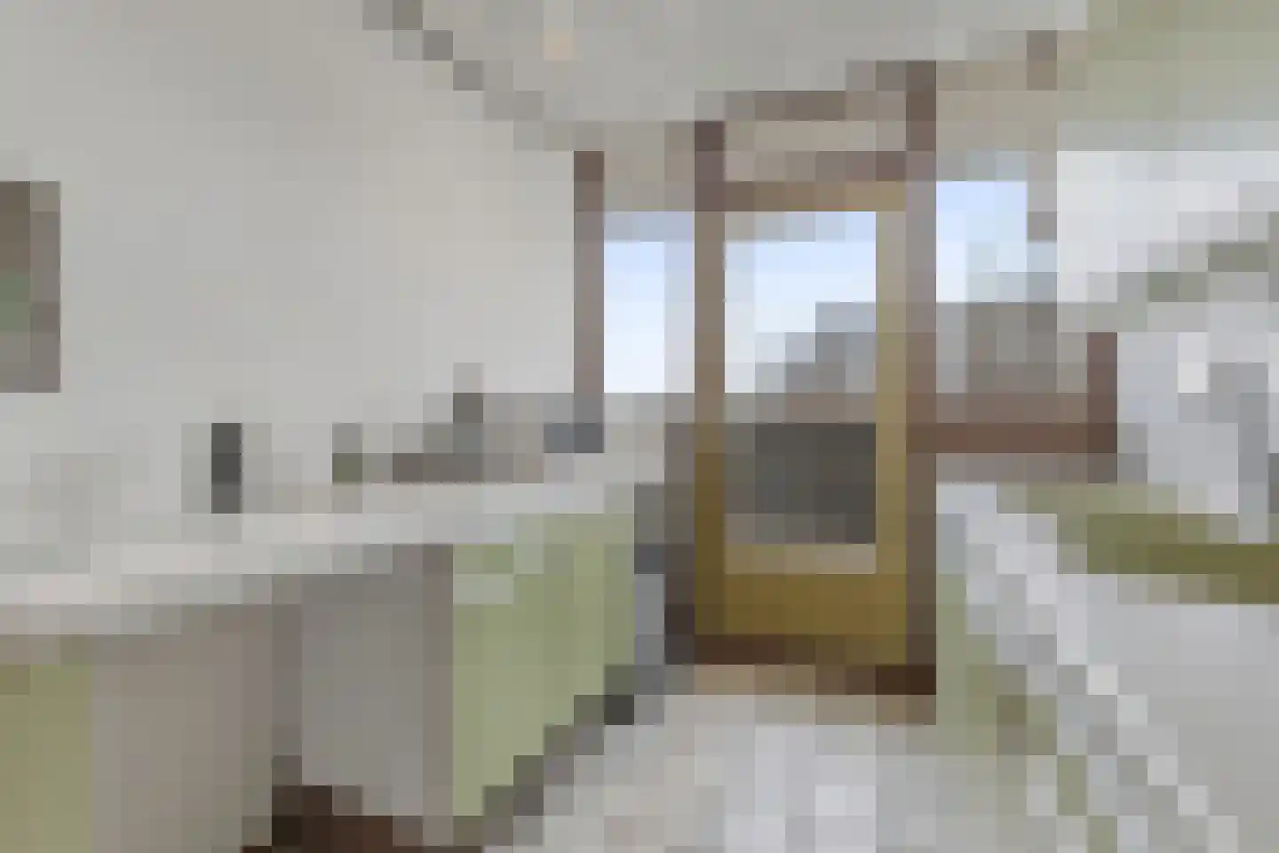 Melis Stokezijde 159 Den Haag thumbnail 11