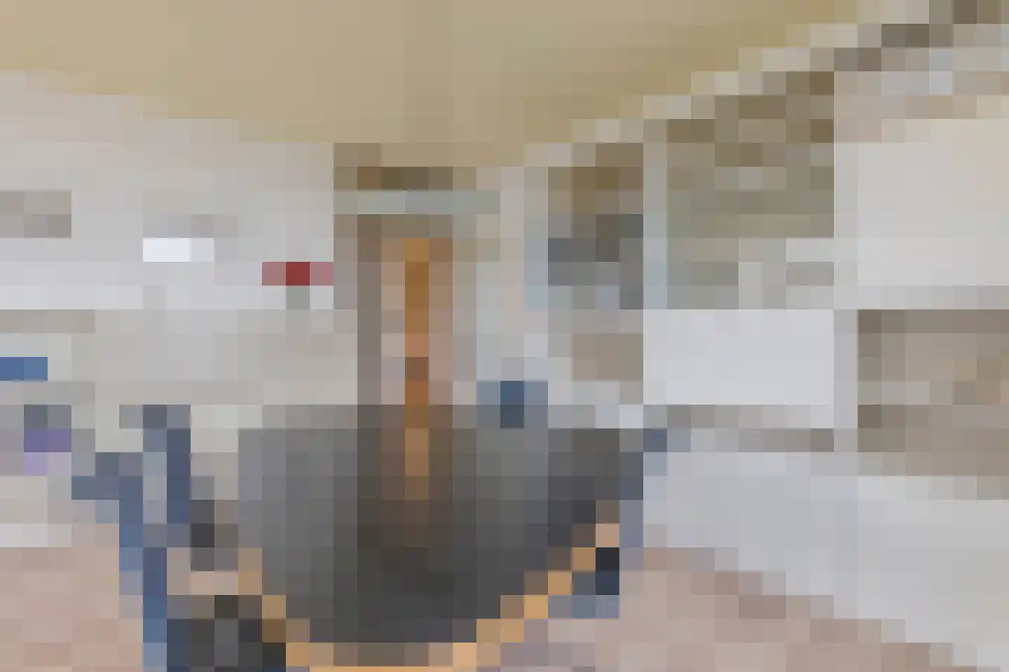 Melis Stokezijde 159 Den Haag thumbnail 7