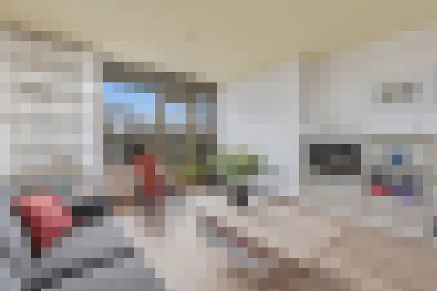 Melis Stokezijde 159 Den Haag thumbnail 8