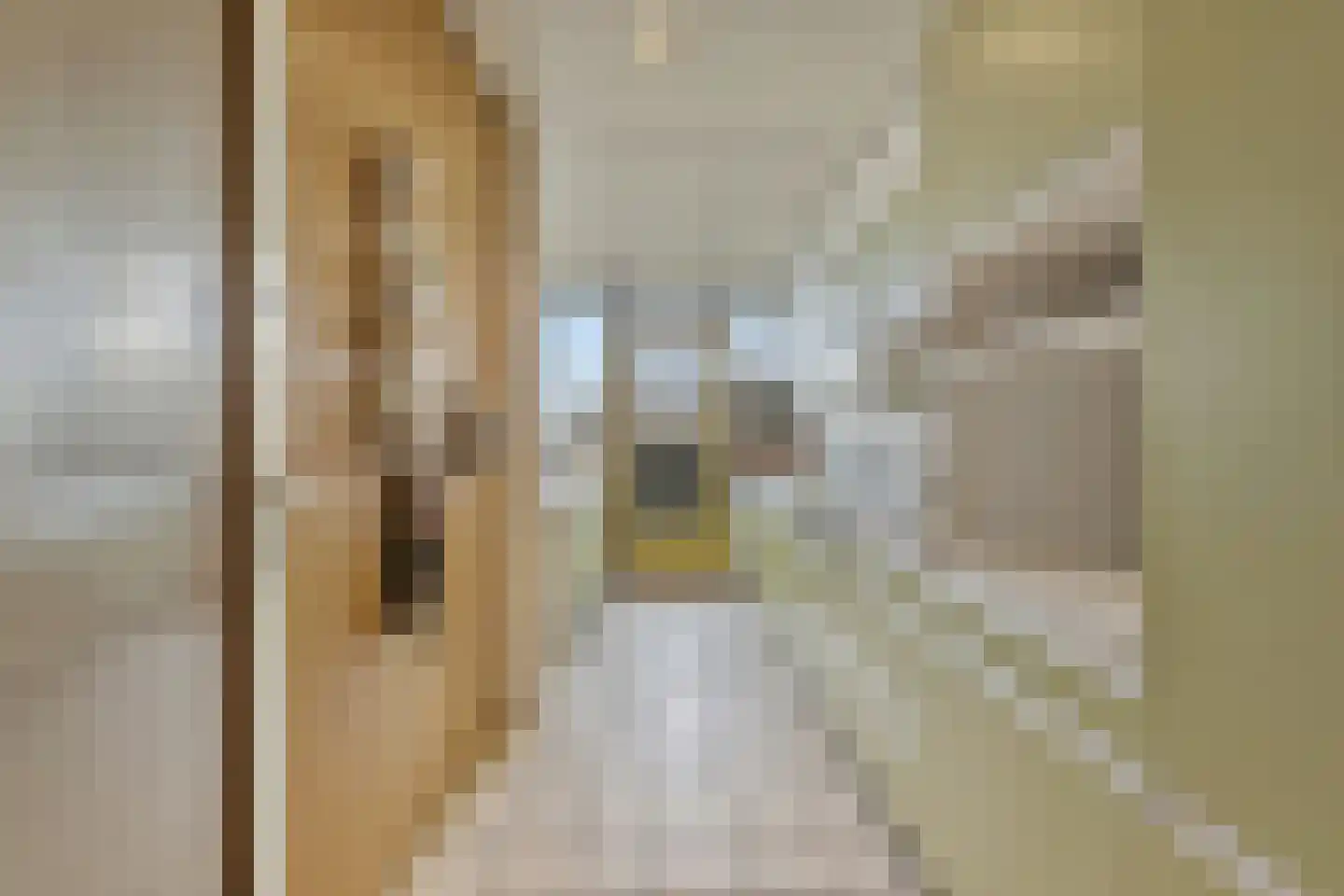 Melis Stokezijde 159 Den Haag thumbnail 9