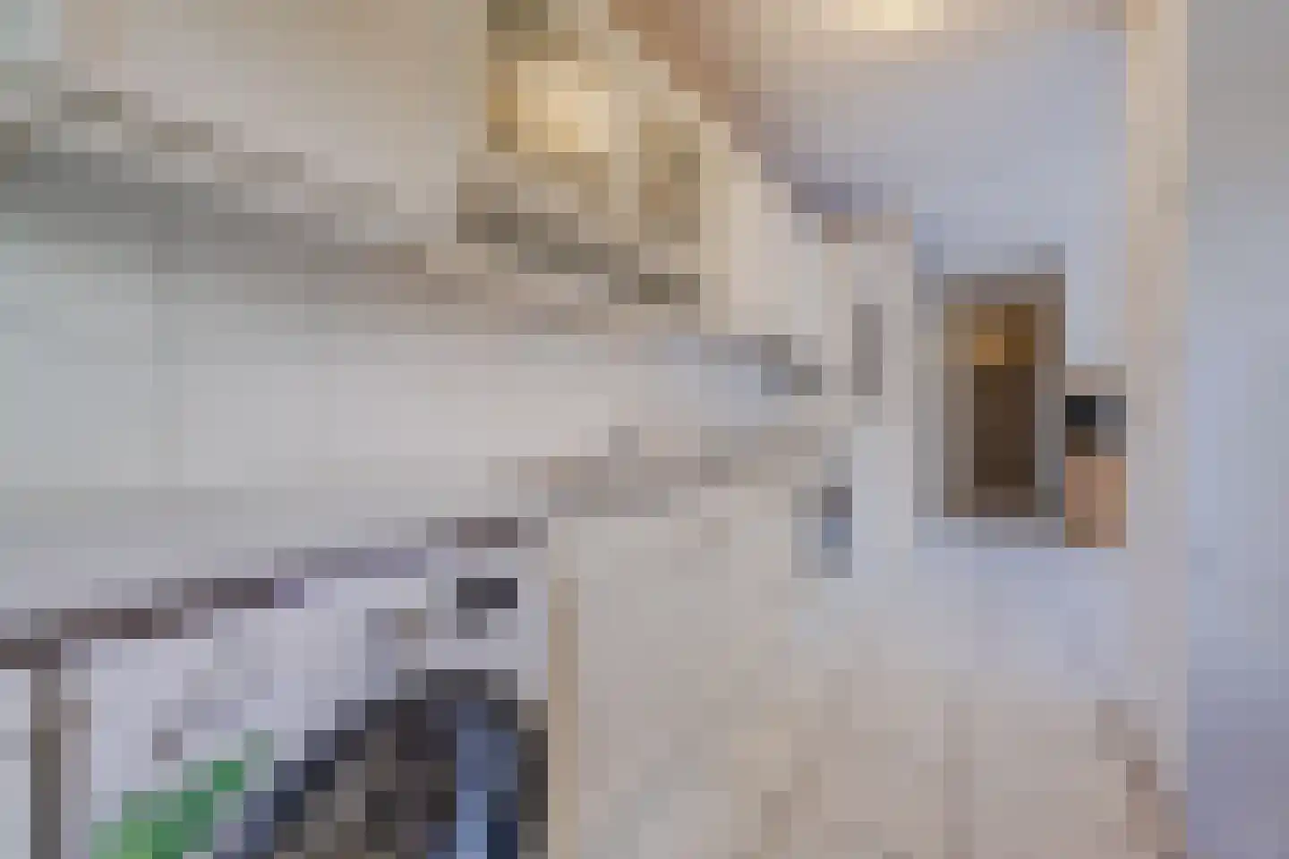 Melis Stokezijde 162 Den Haag thumbnail 10