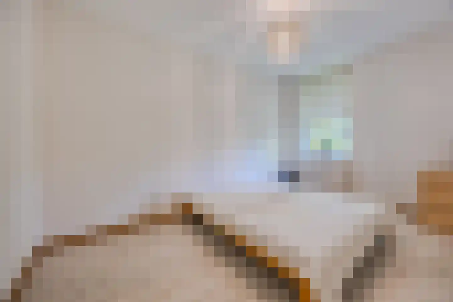Melis Stokezijde 162 Den Haag thumbnail 11