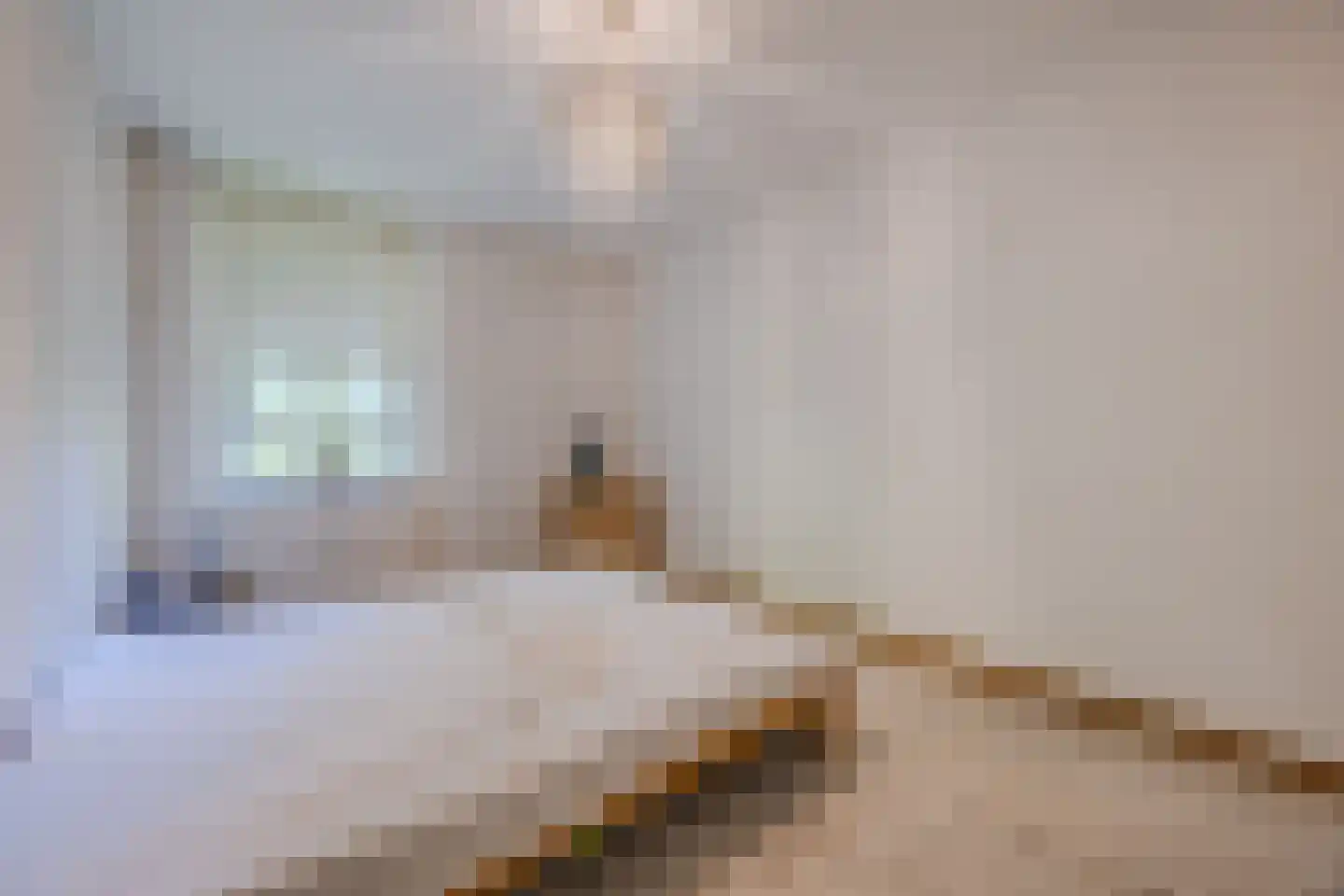 Melis Stokezijde 162 Den Haag thumbnail 12