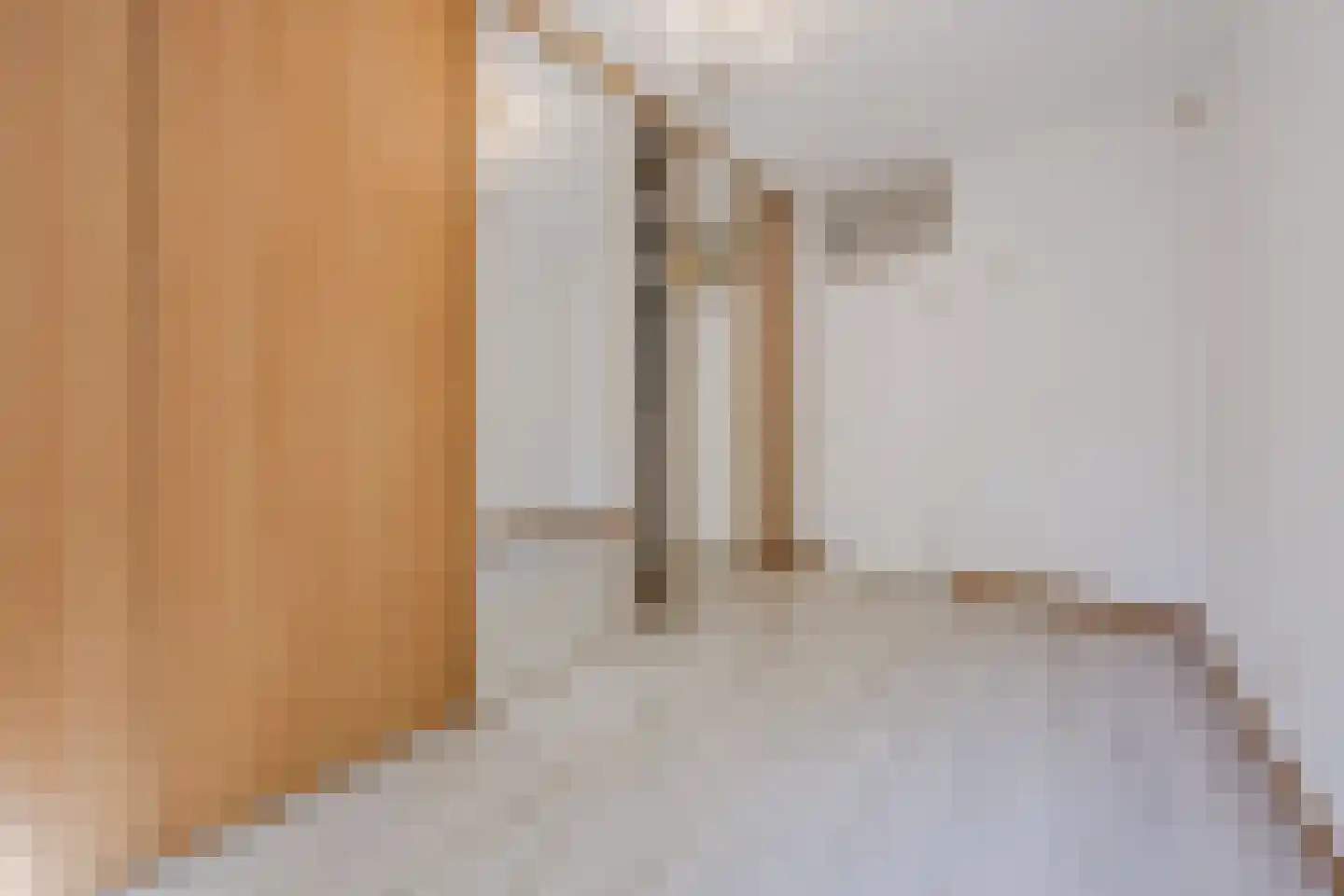 Melis Stokezijde 162 Den Haag thumbnail 17