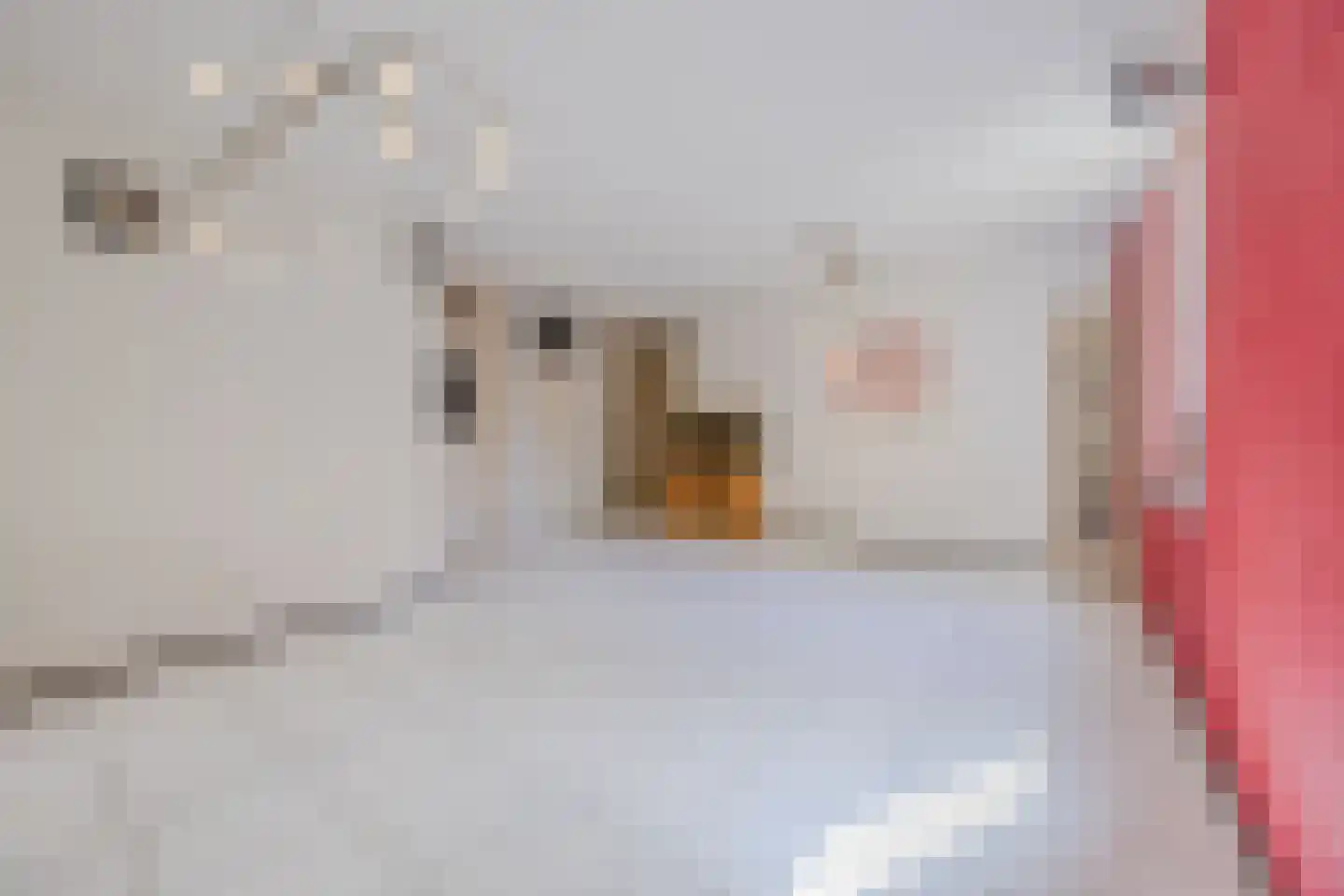 Melis Stokezijde 162 Den Haag thumbnail 5