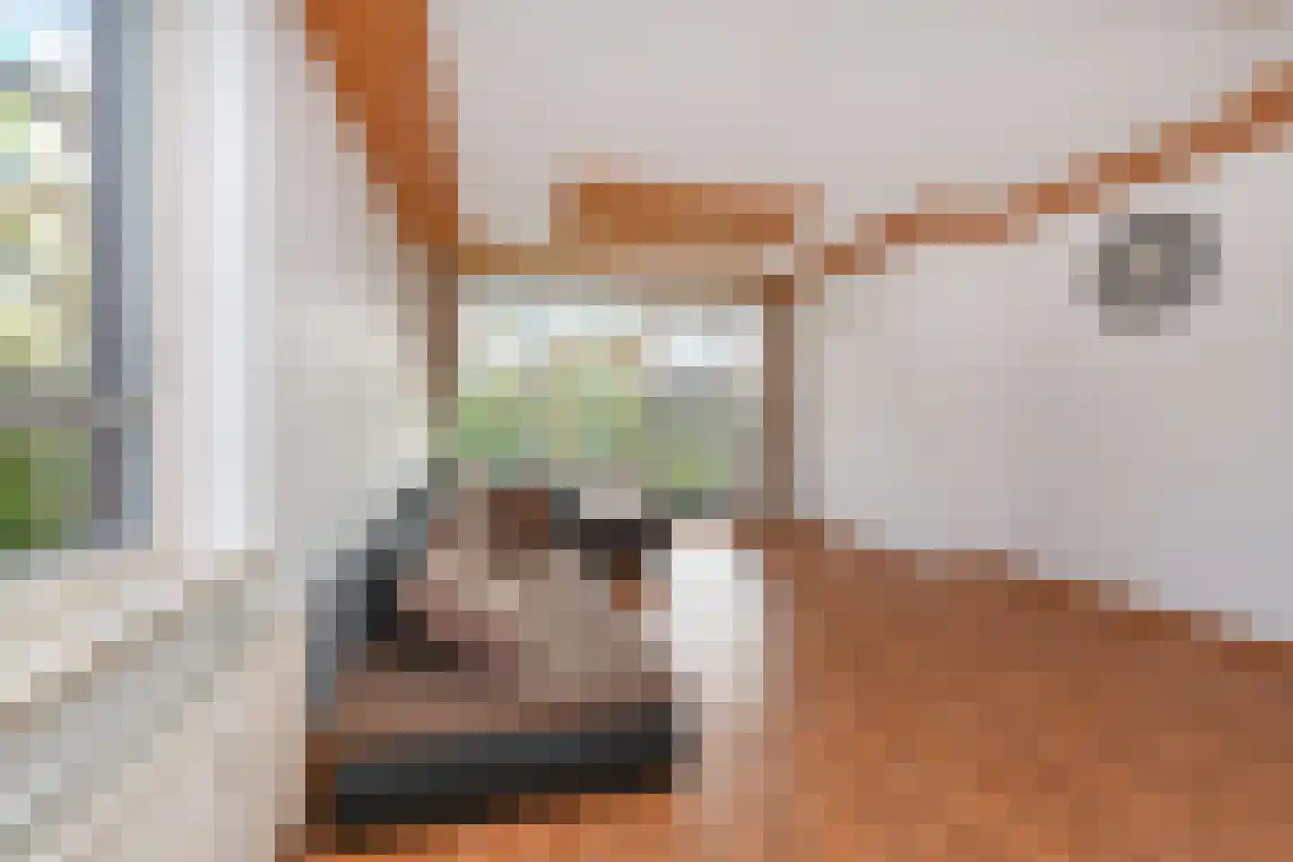 Melis Stokezijde 170 Den Haag thumbnail 10