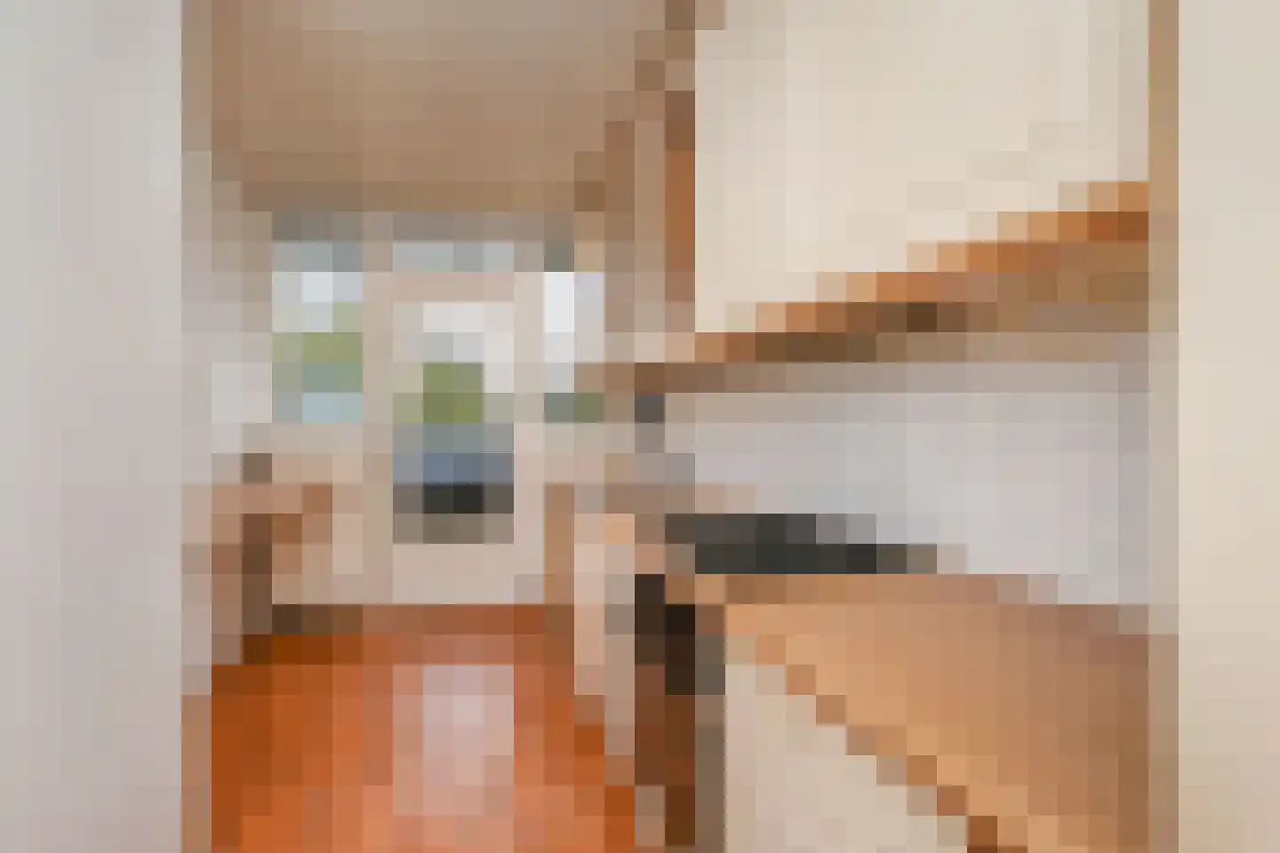 Melis Stokezijde 170 Den Haag thumbnail 14