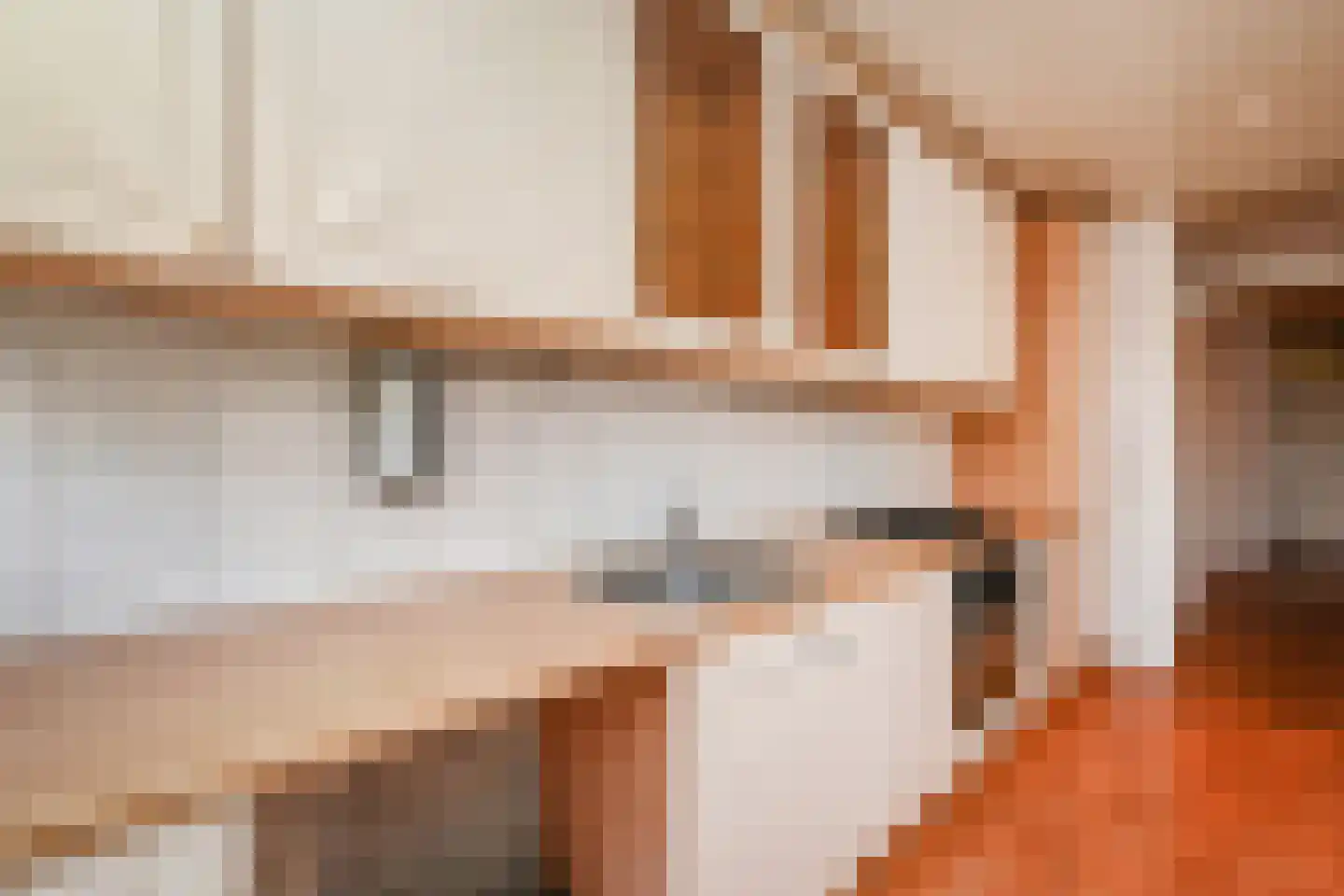 Melis Stokezijde 170 Den Haag thumbnail 15