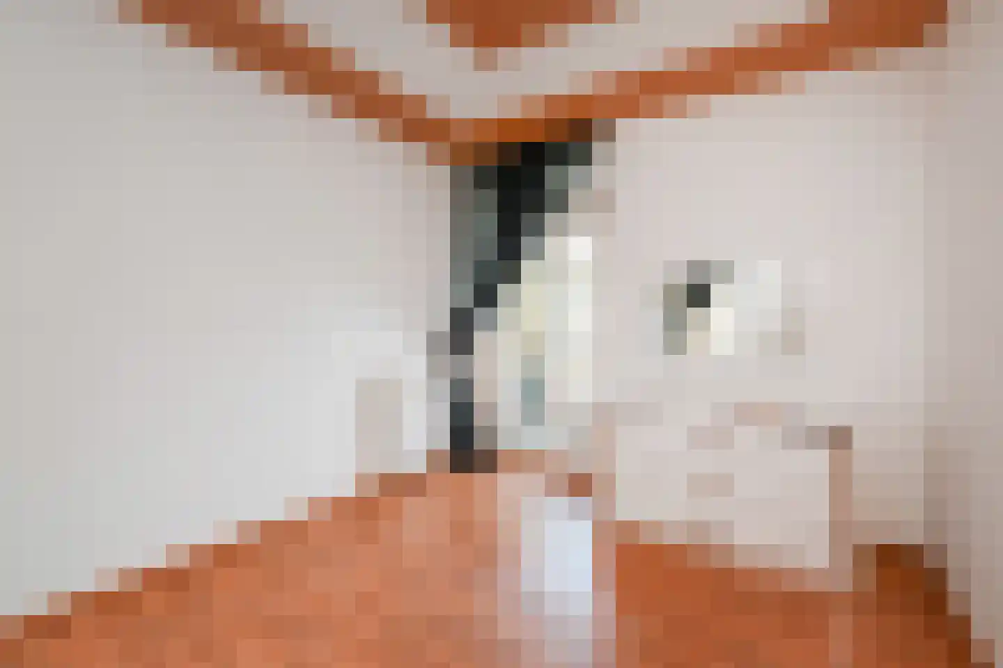 Melis Stokezijde 170 Den Haag thumbnail 19