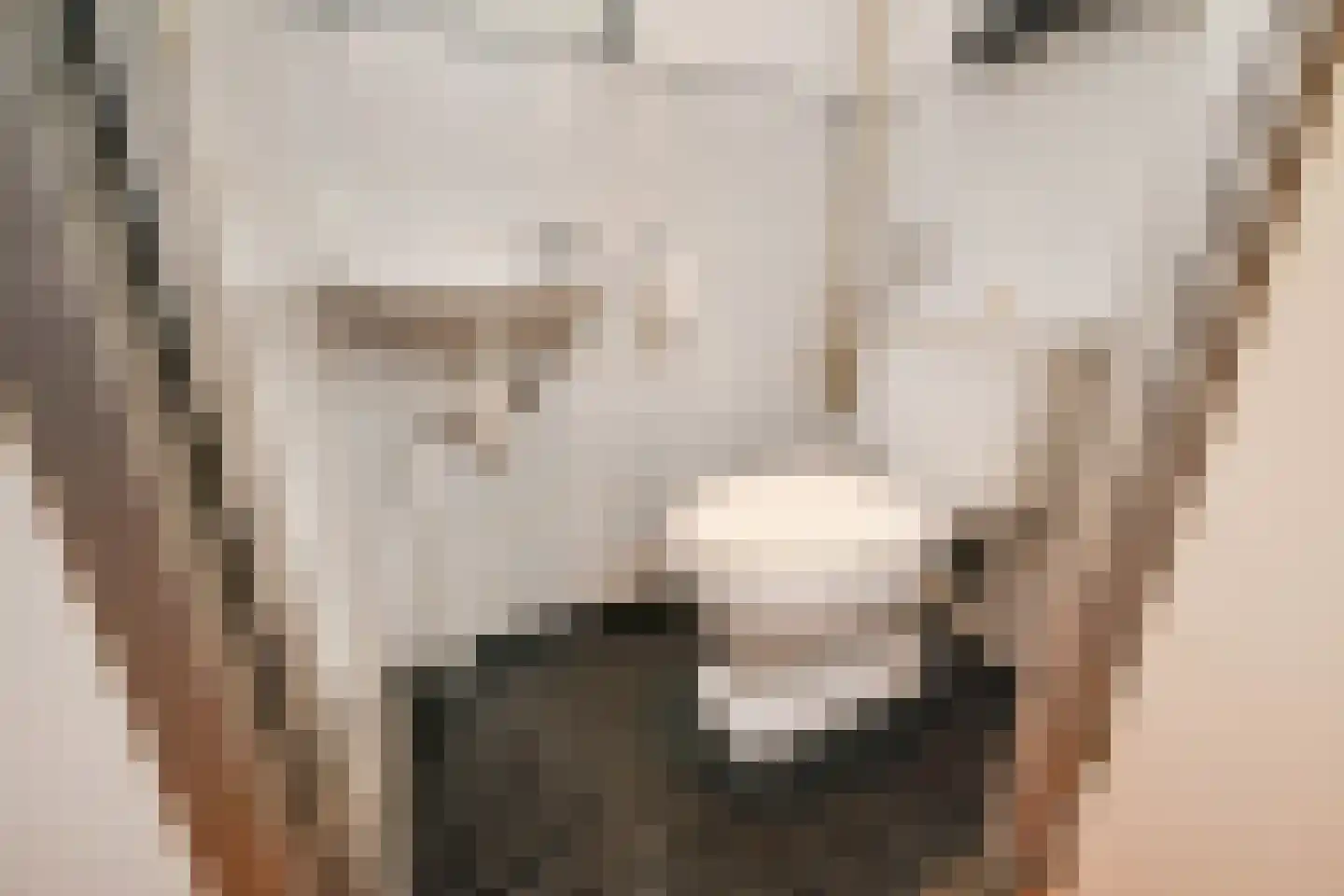 Melis Stokezijde 170 Den Haag thumbnail 21