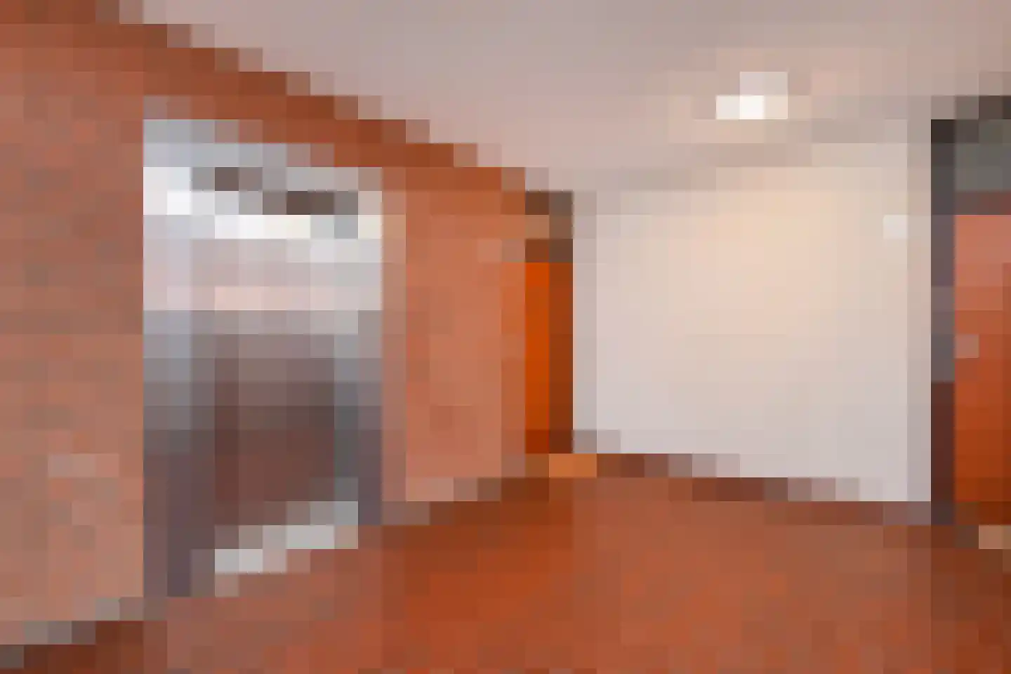 Melis Stokezijde 170 Den Haag thumbnail 7