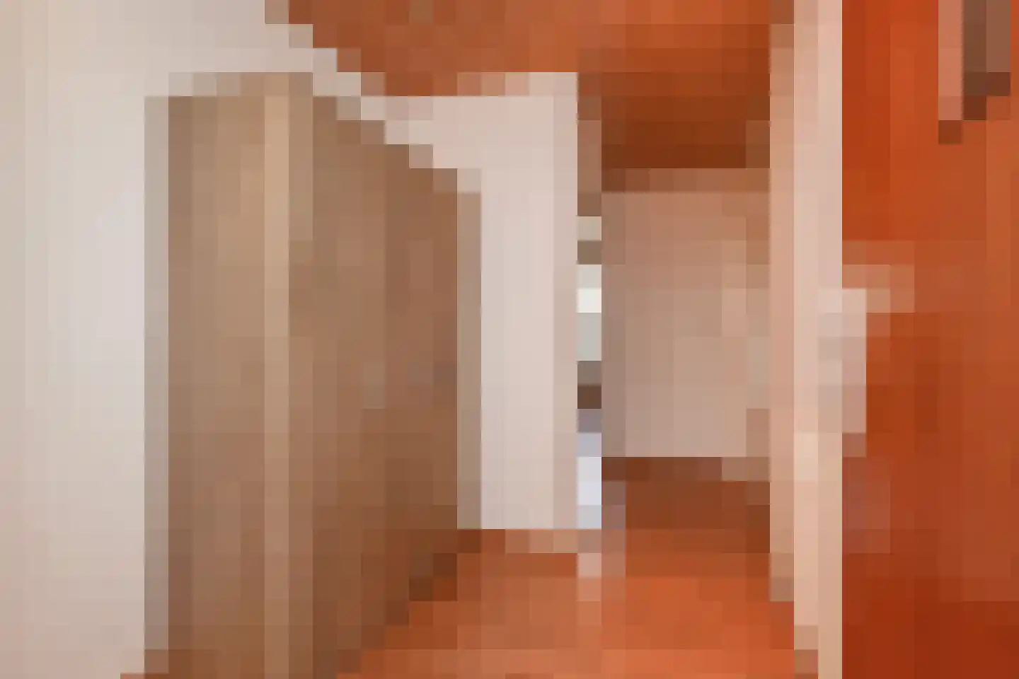 Melis Stokezijde 170 Den Haag thumbnail 8