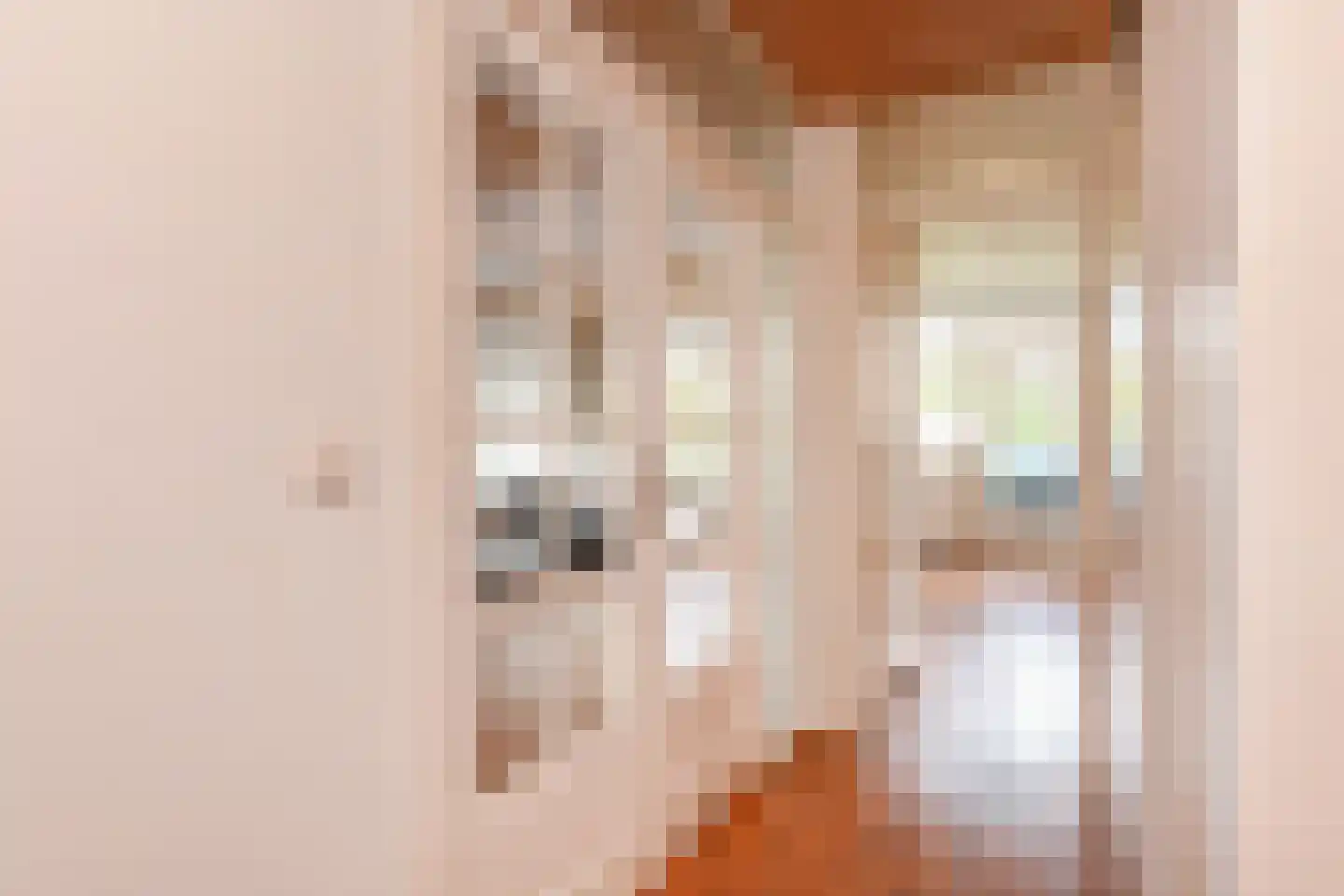 Melis Stokezijde 170 Den Haag thumbnail 9