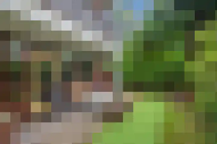 Melis Stokezijde 2 Den Haag thumbnail 19
