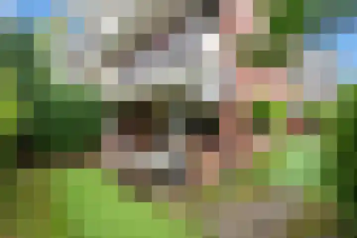 Melis Stokezijde 2 Den Haag thumbnail 20