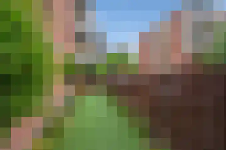 Melis Stokezijde 2 Den Haag thumbnail 21