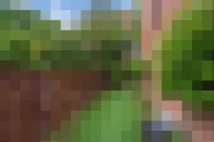 Melis Stokezijde 2 Den Haag thumbnail 22