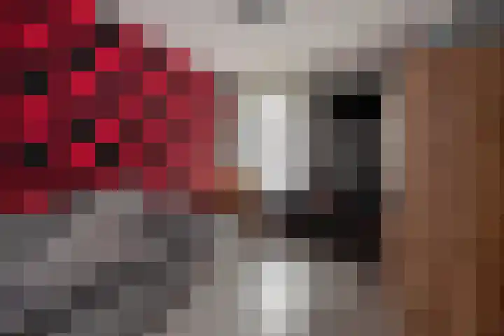 Melis Stokezijde 2 Den Haag thumbnail 24