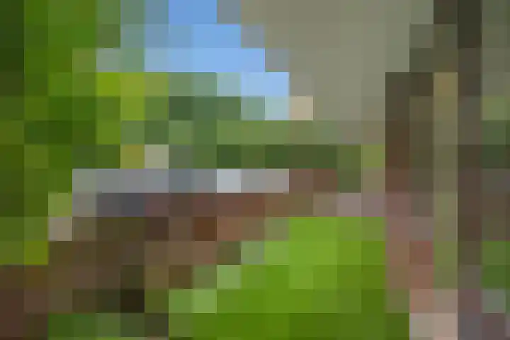 Melis Stokezijde 2 Den Haag thumbnail 26