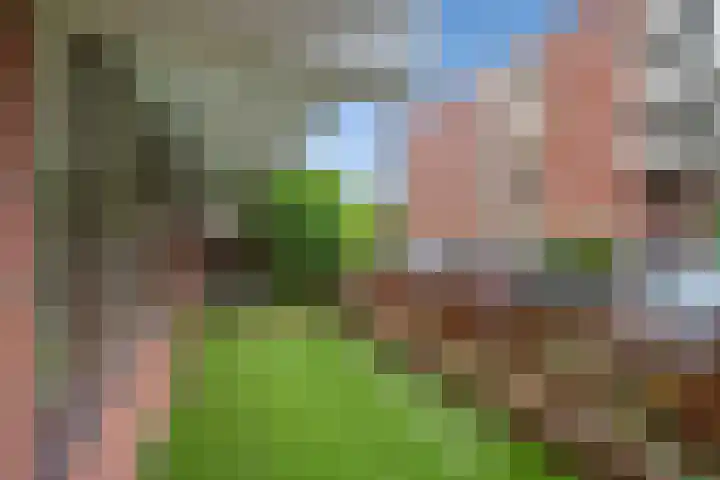 Melis Stokezijde 2 Den Haag thumbnail 27