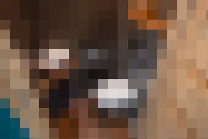 Melis Stokezijde 2 Den Haag thumbnail 28