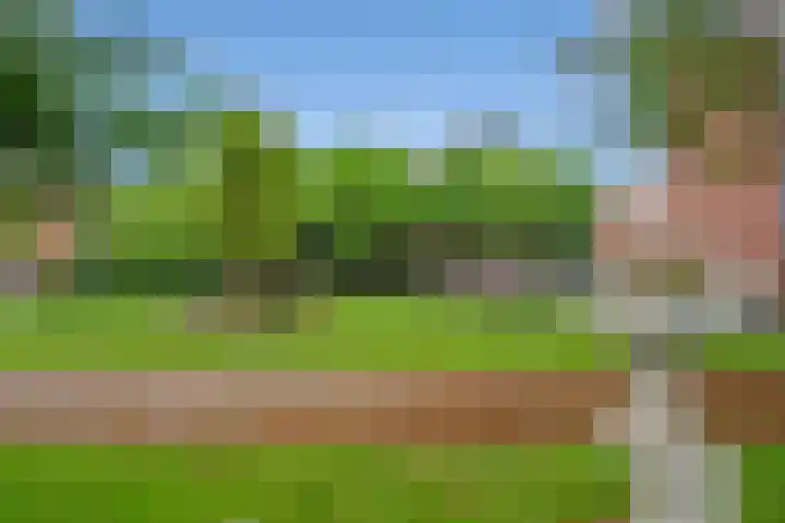 Melis Stokezijde 2 Den Haag thumbnail 5