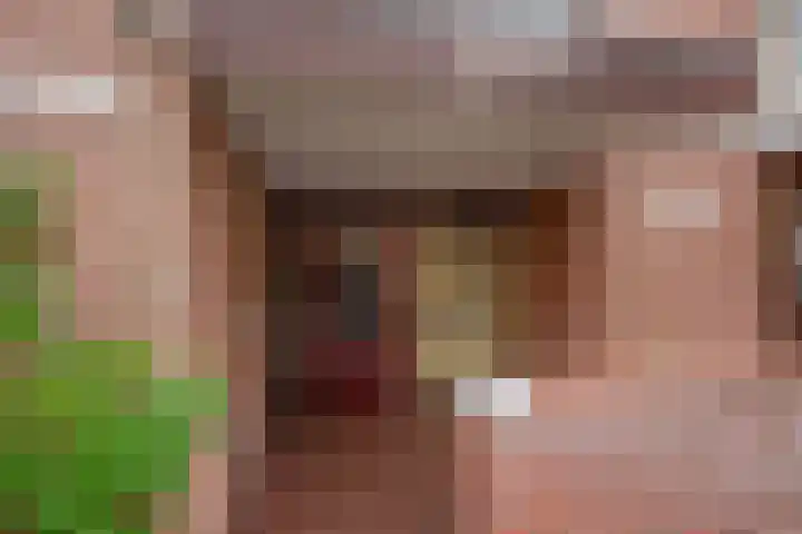 Melis Stokezijde 2 Den Haag thumbnail 9