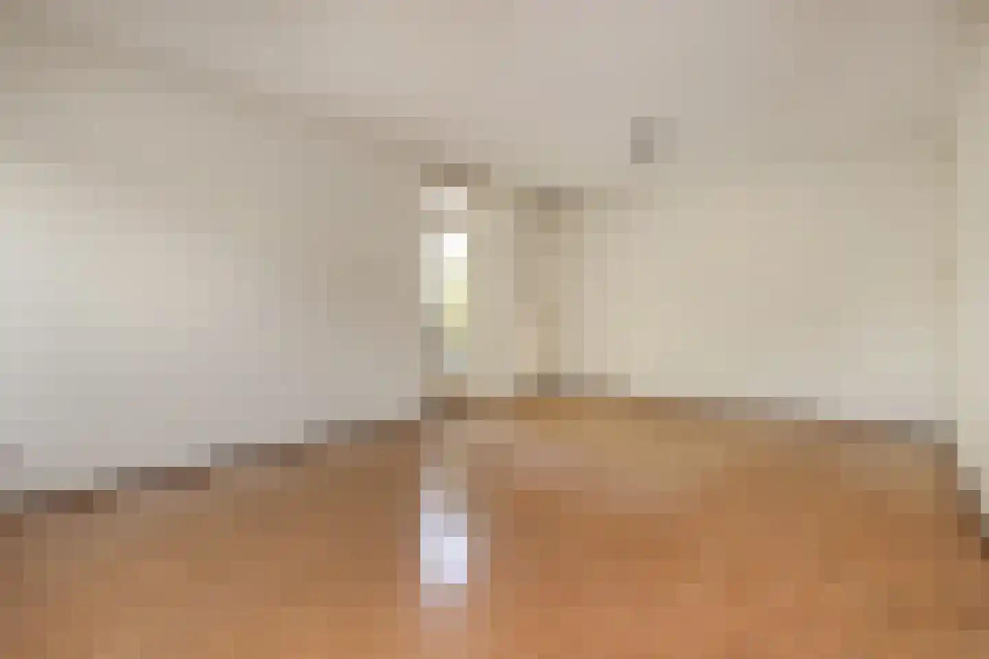 Melis Stokezijde 224 Den Haag thumbnail 12