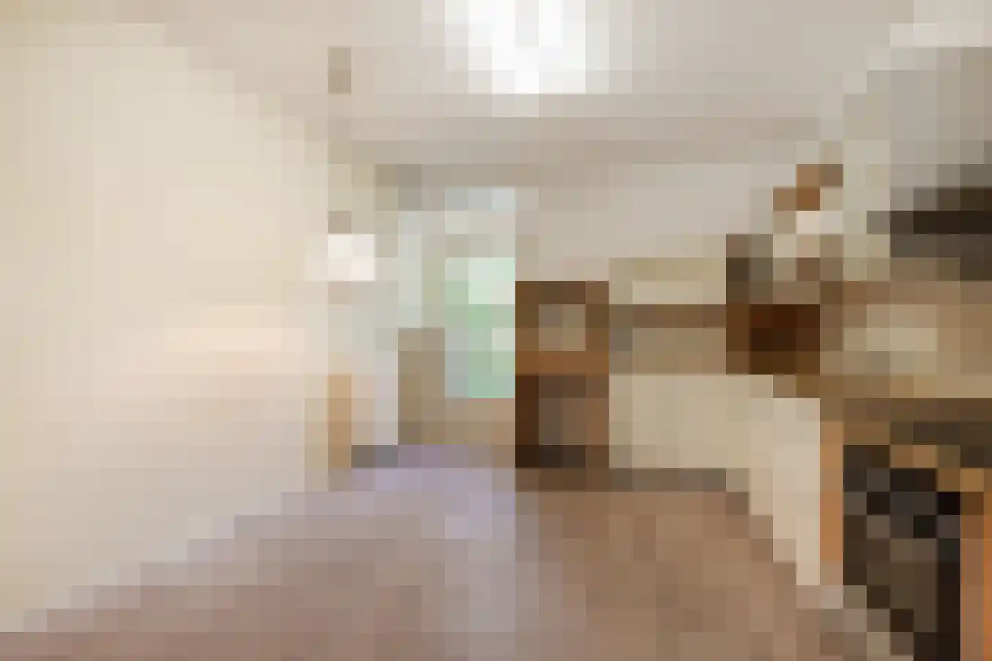 Melis Stokezijde 224 Den Haag thumbnail 20