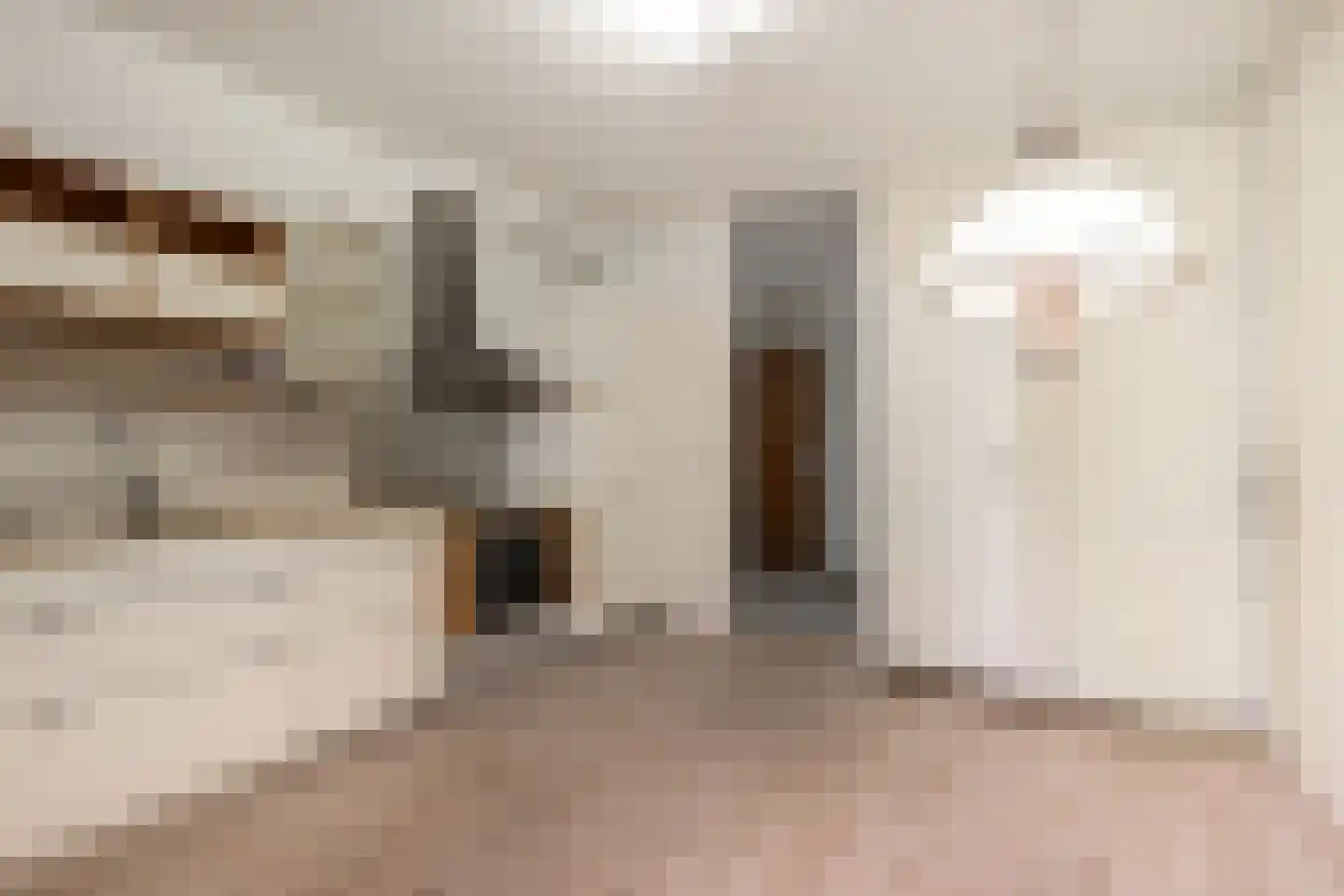 Melis Stokezijde 224 Den Haag thumbnail 21