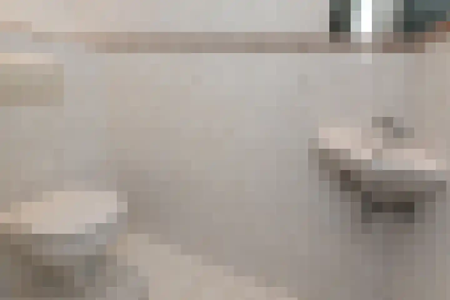 Melis Stokezijde 224 Den Haag thumbnail 22