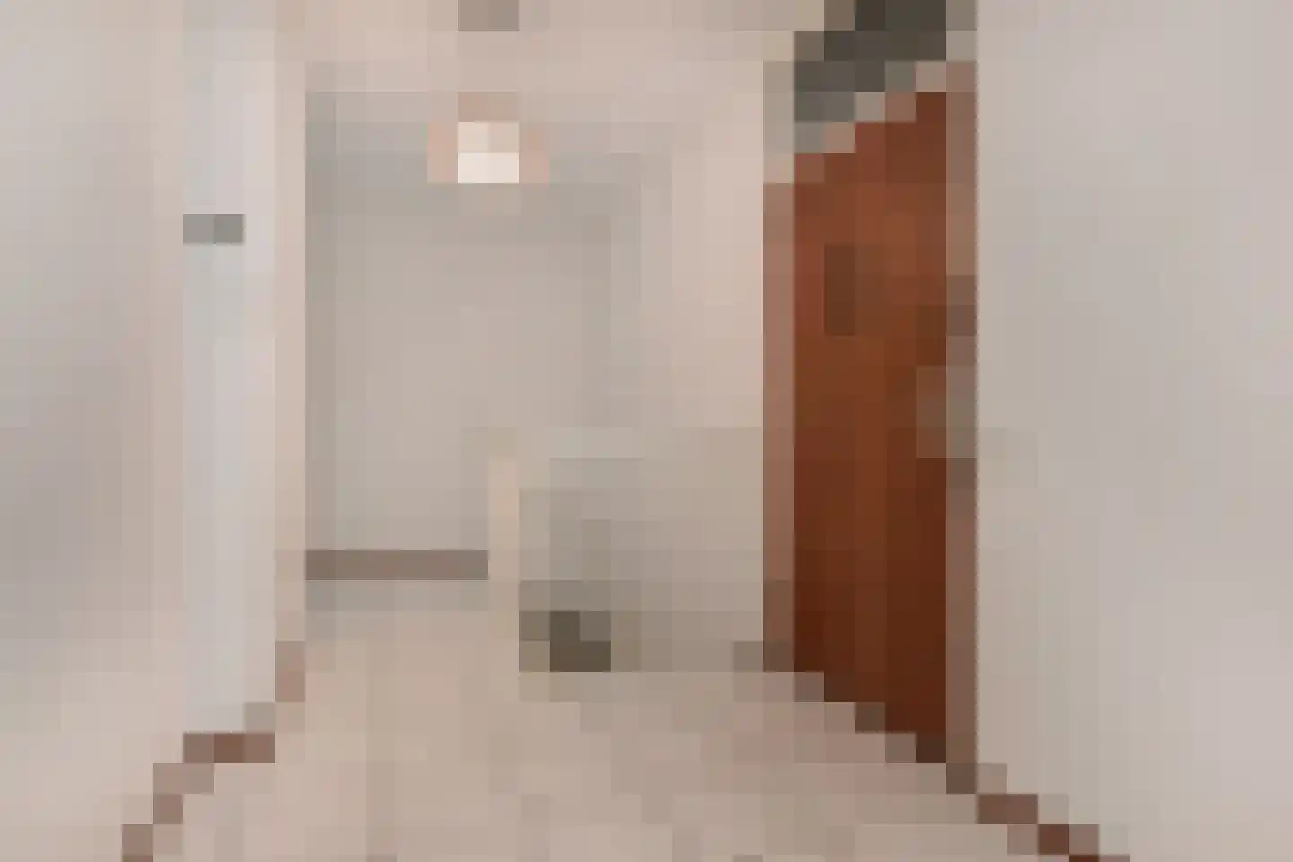 Melis Stokezijde 224 Den Haag thumbnail 23