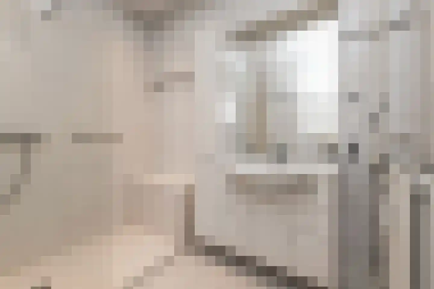 Melis Stokezijde 224 Den Haag thumbnail 33