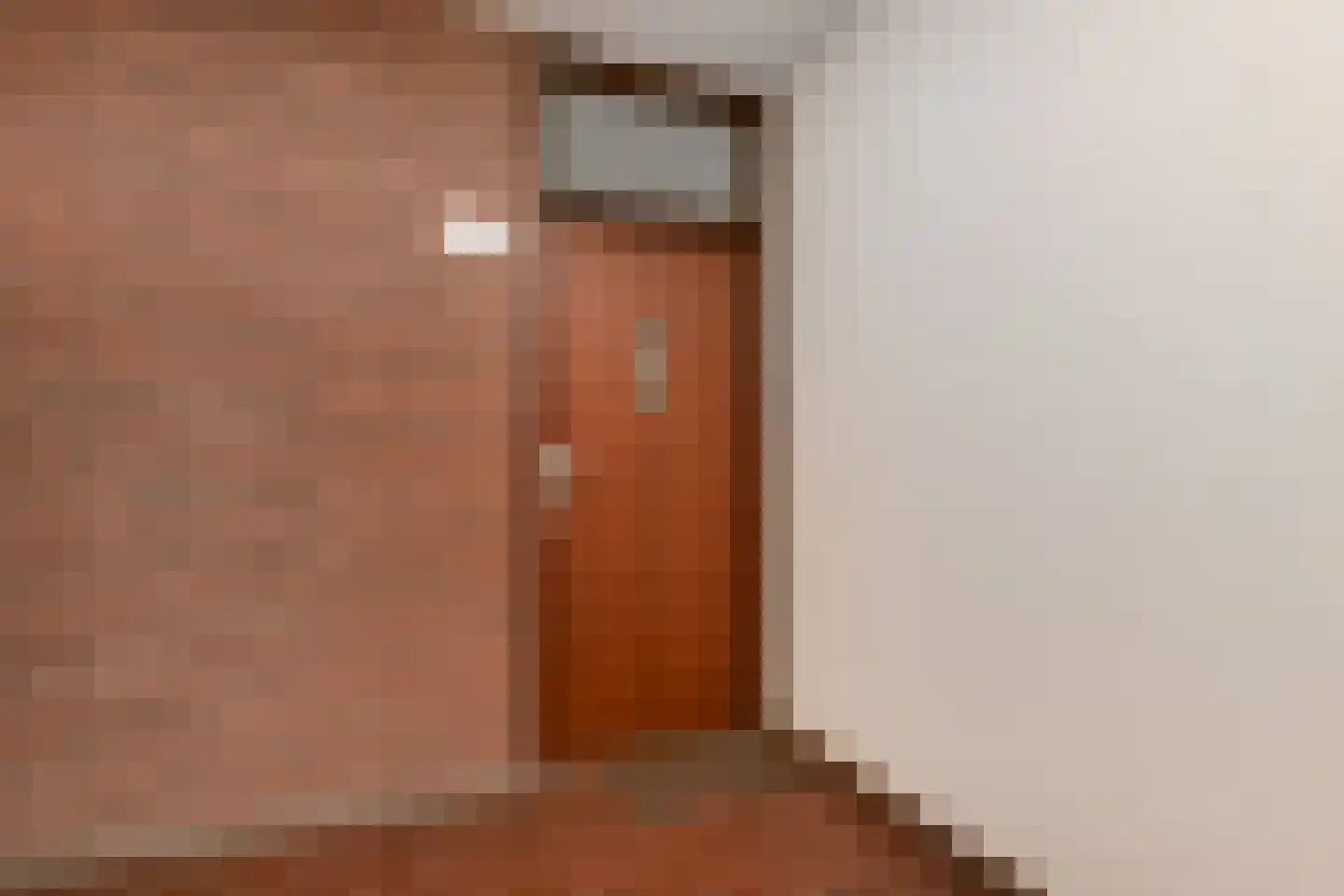Melis Stokezijde 224 Den Haag thumbnail 8