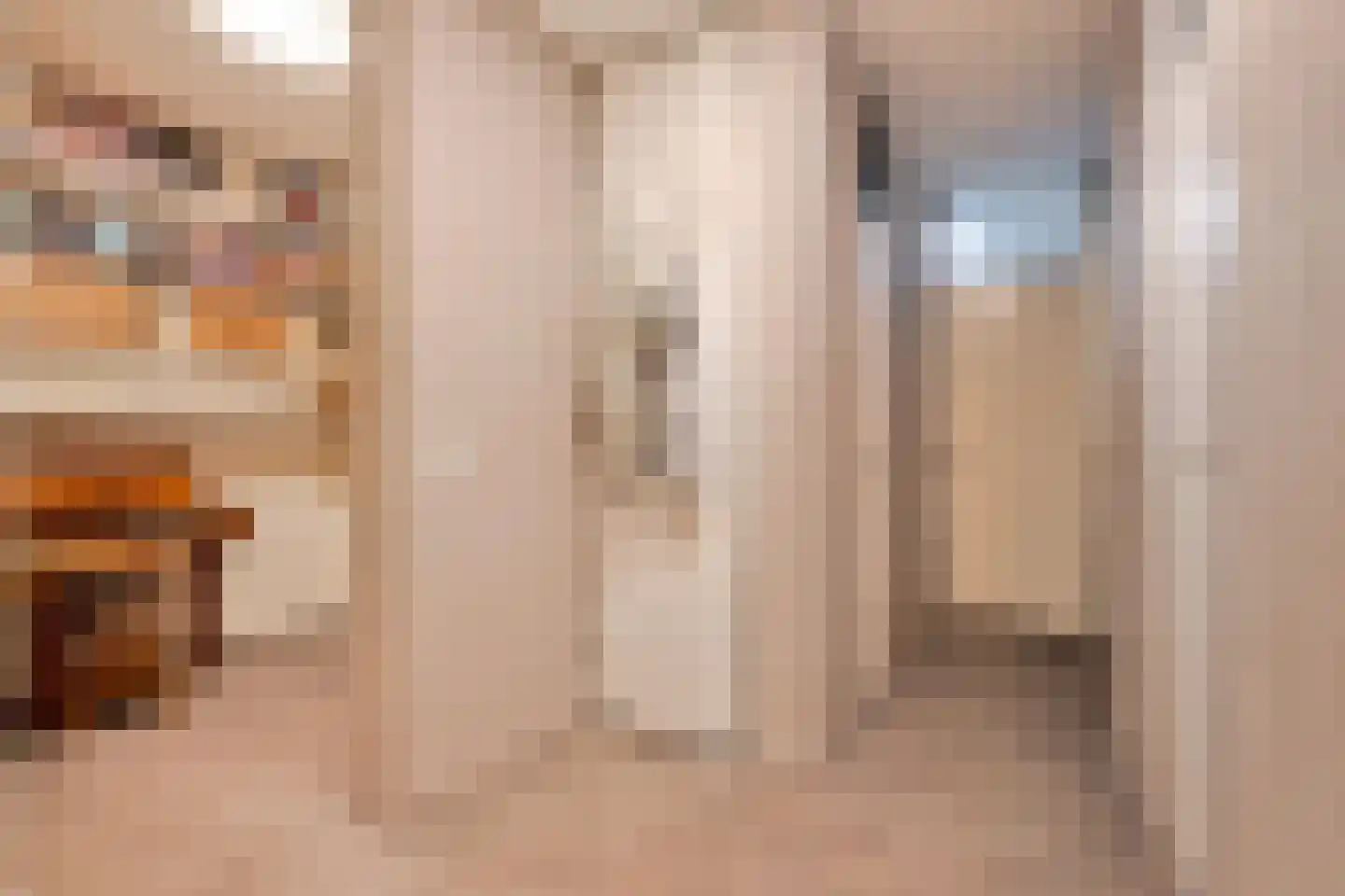 Melis Stokezijde 229 Den Haag thumbnail 10