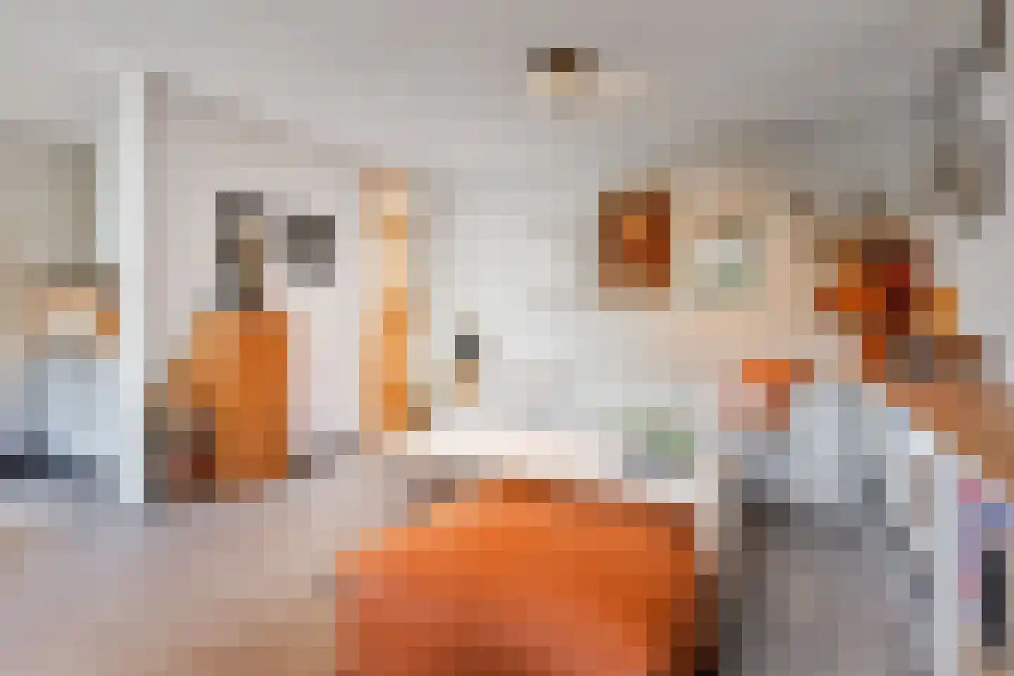 Melis Stokezijde 229 Den Haag thumbnail 12