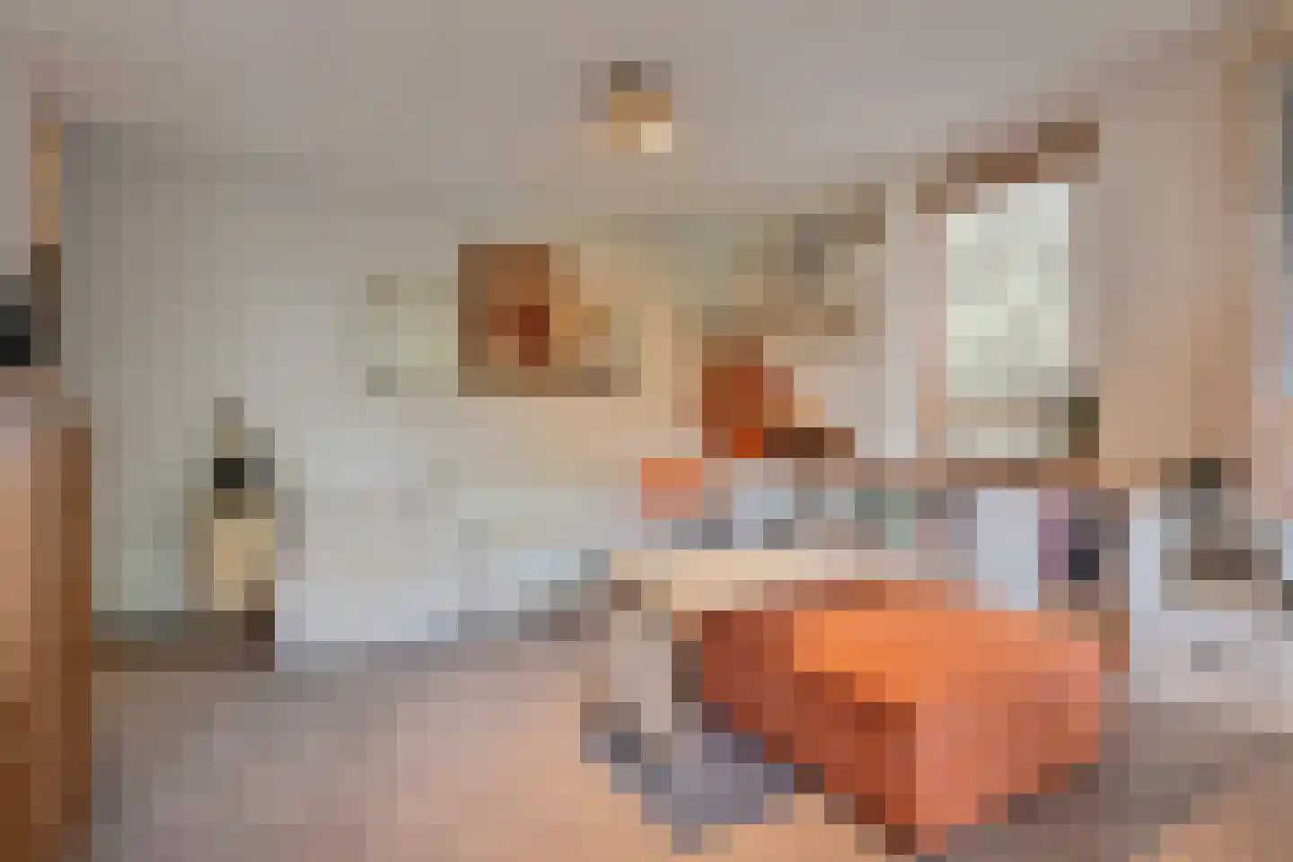 Melis Stokezijde 229 Den Haag thumbnail 13