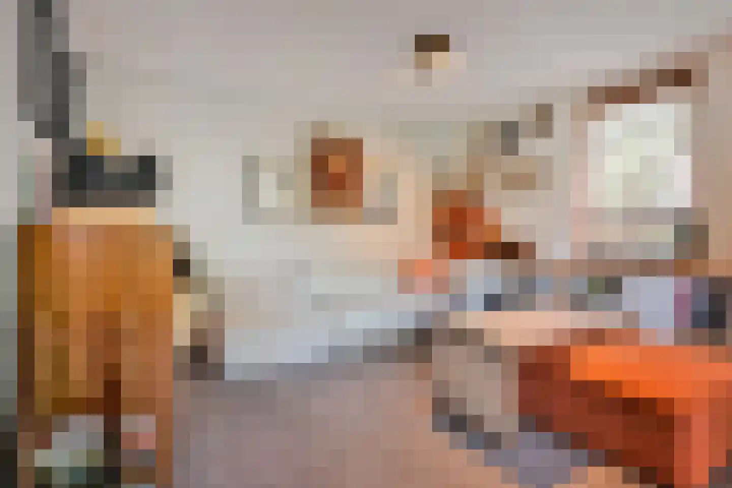 Melis Stokezijde 229 Den Haag thumbnail 14