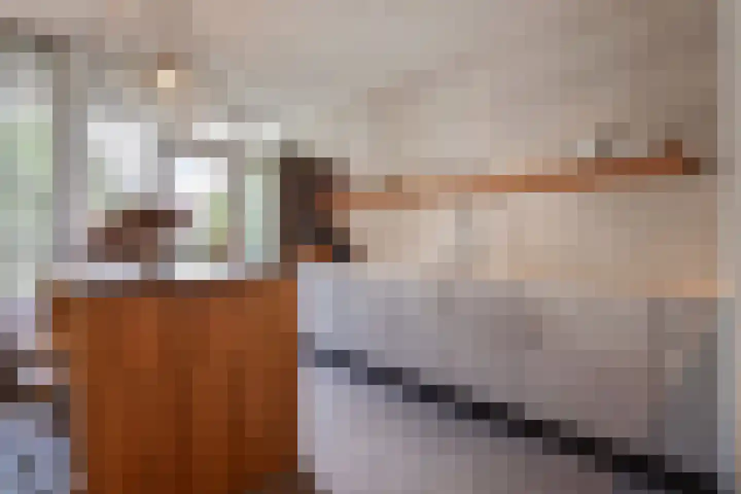 Melis Stokezijde 229 Den Haag thumbnail 16